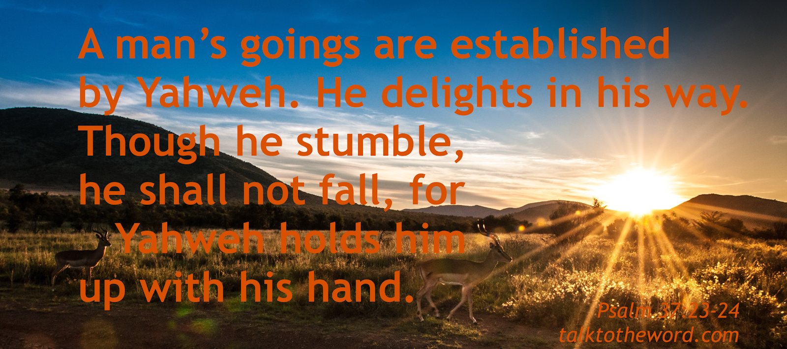 Psalm 37 23 24 psalm-37-23-24