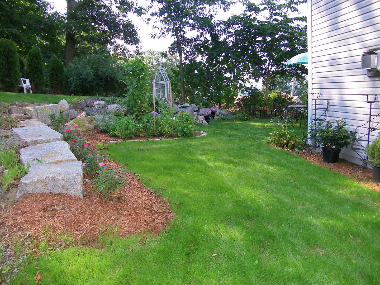 Maison Decor: From ugly to pretty: the story of our back yard.