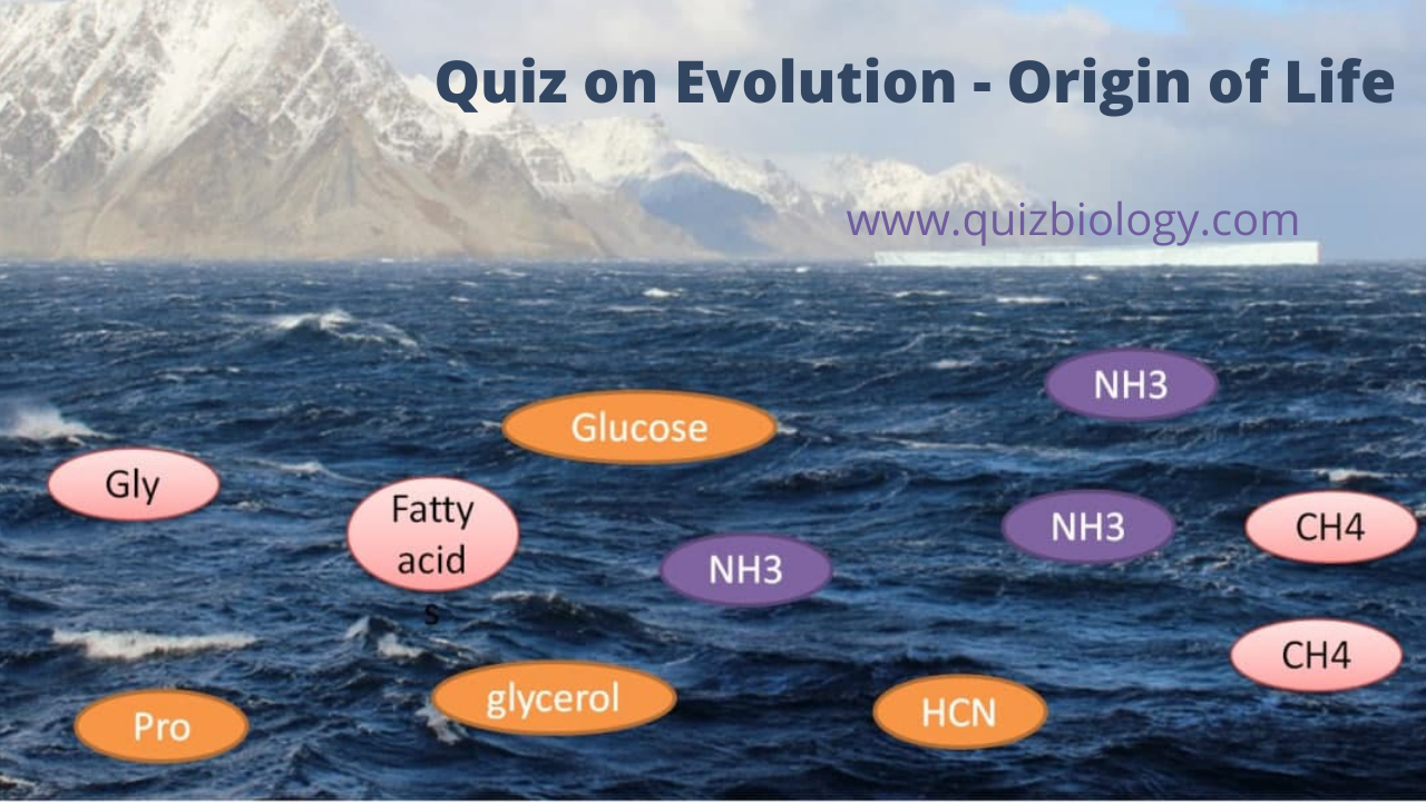 Multiple Choice Quiz on Evolution - Origin of Life