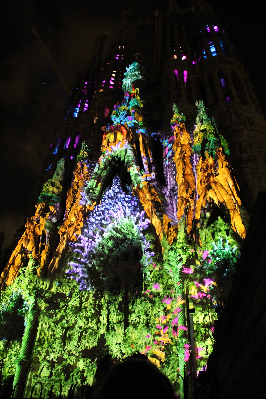 Pink Sneakers on the Go Sagrada Familia Light Show (Ode a la Vie)