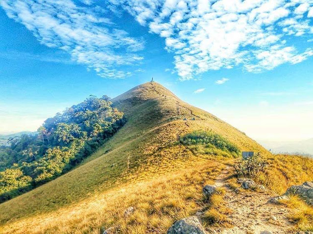 නාරංගෙඩියේ හැඩයෙන් යුතු - නාරංගල 🍊⛰(Narangala🍊) - Your Choice Way