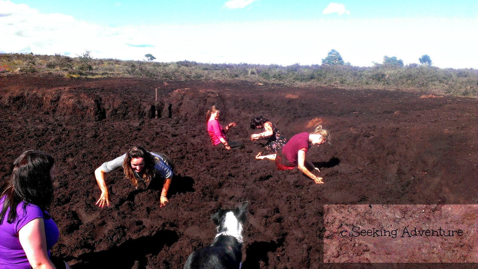 Seeking adventure: Bog hopping on Causey Farm