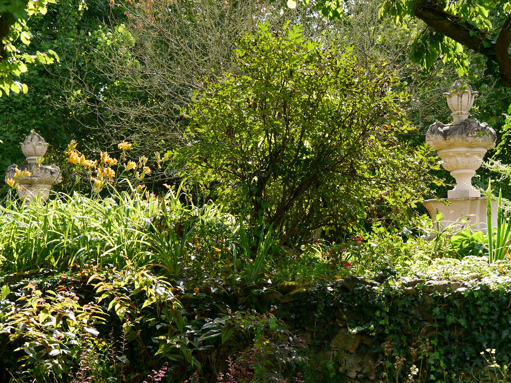 Leserjury Von Mein Schoner Garten Zum Deutschen Gartenbuchpreis 2014 Auf Schloss Dennenlohe Teil 3 Von 3 Achims Garten