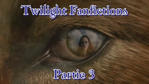 http://unpeudelecture.blogspot.fr/2014/02/twilight-fan-fiction-partie-3.html