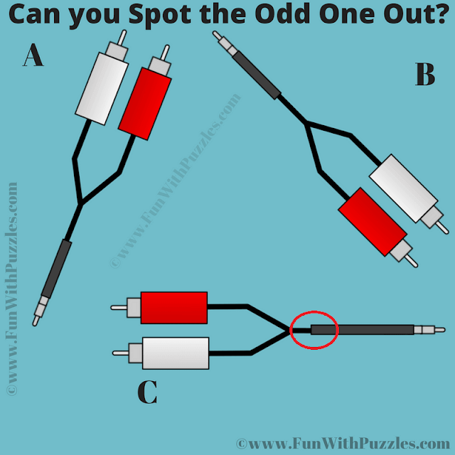 Odd One Out Picture Riddle Answer