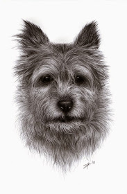 07-Dog-portrait-2-Daisy-van-den-Berg-How-To-Draw-a-Realistic-www-designstack-co