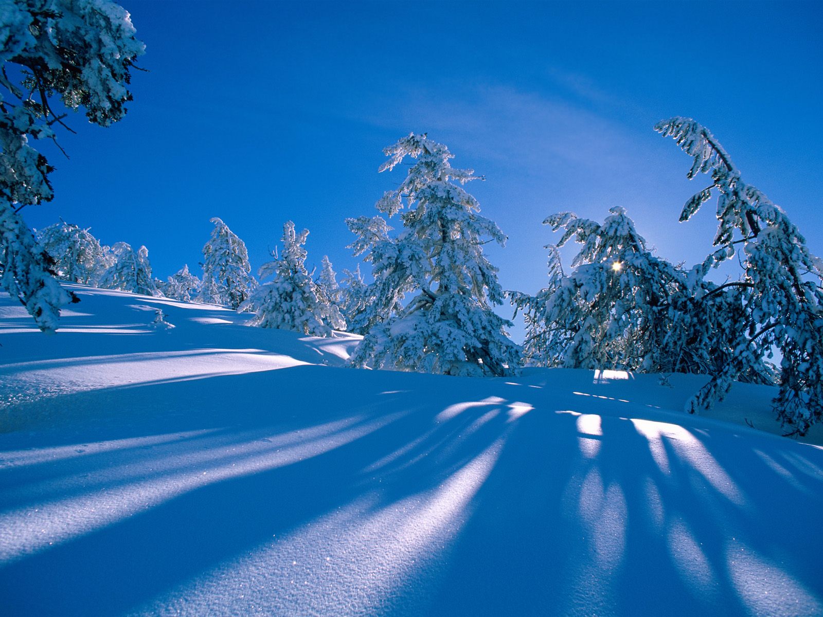 26 Beautiful Winter Wallpapers 1600 X 1200 1001Archives