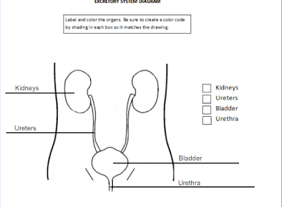 Mrs. Counts 7th grade Science Class: November 2019