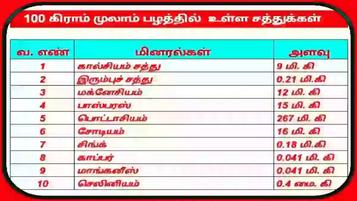 முலாம் பழம் நன்மைகள் தீமைகள் மற்றும் சத்துக்கள் முலாம் பழம் சத்துக்கள் அட்டவணை 3