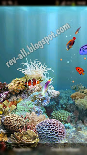 tampilan aniPet aquarium live wallpaper android (rev-all.blogspot.com)