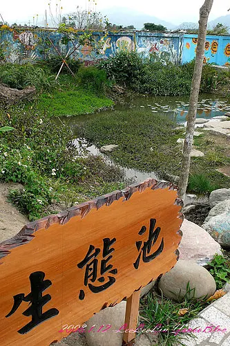 柑園國小投票所|第一次參與投票活動