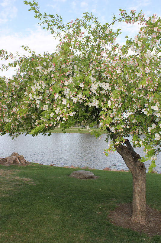 Cornerstone Retreat: Japanese Gardens, Sioux Falls SD