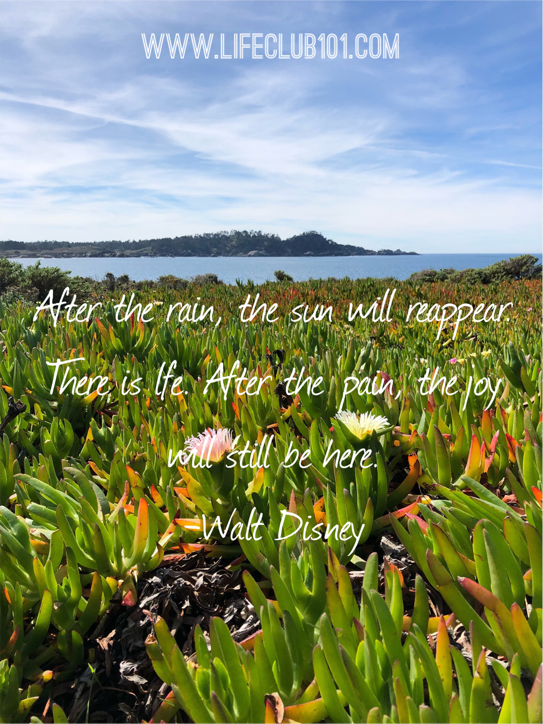 After The Rain Quotes