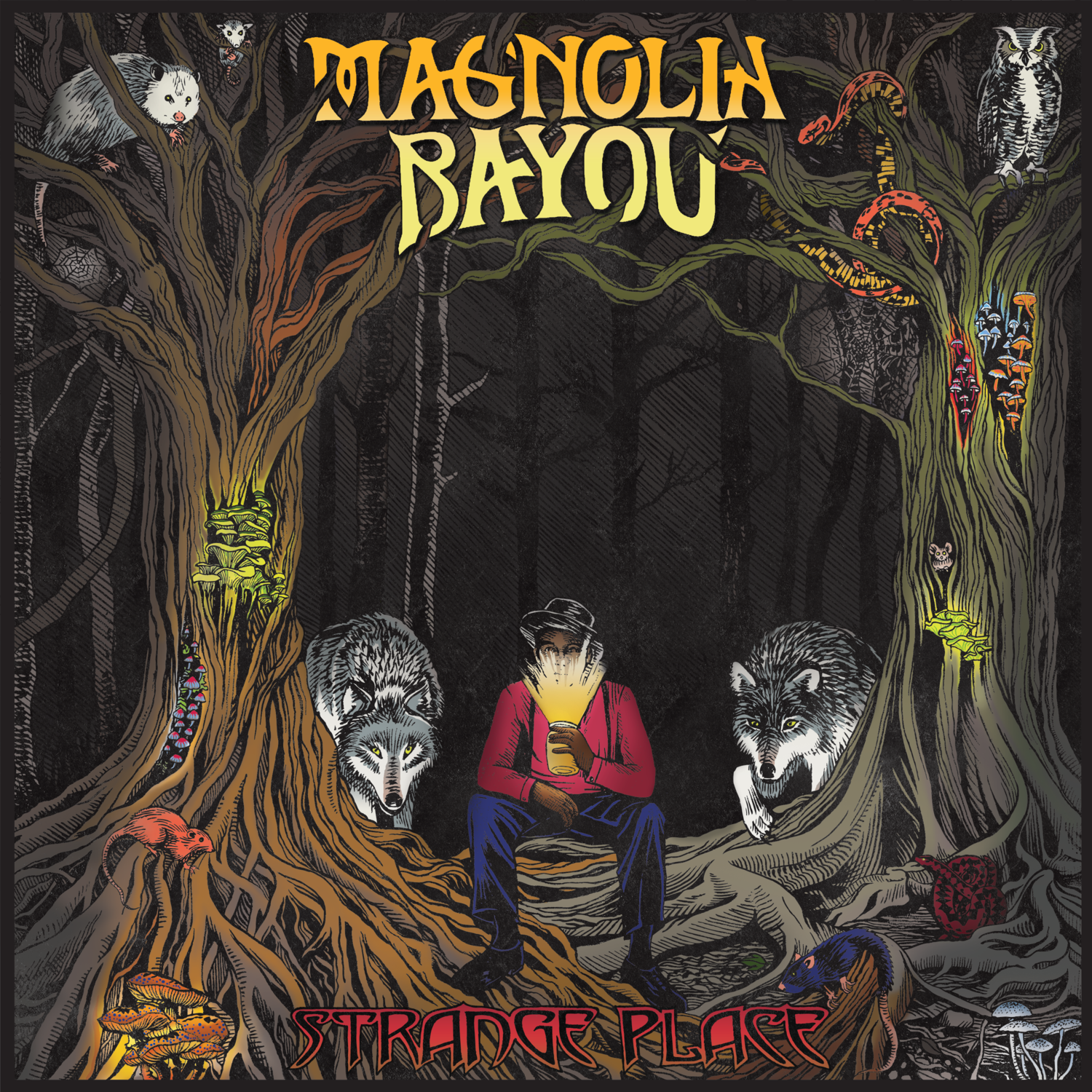 ¿Qué Estás Escuchando? - Página 7 Magnolia-bayou-strange-place-album-cover