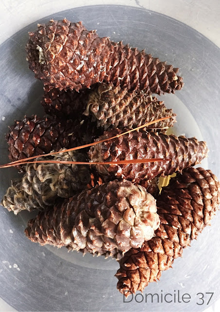 A simple free DIY on how to bleach Pinecones for the holiday season