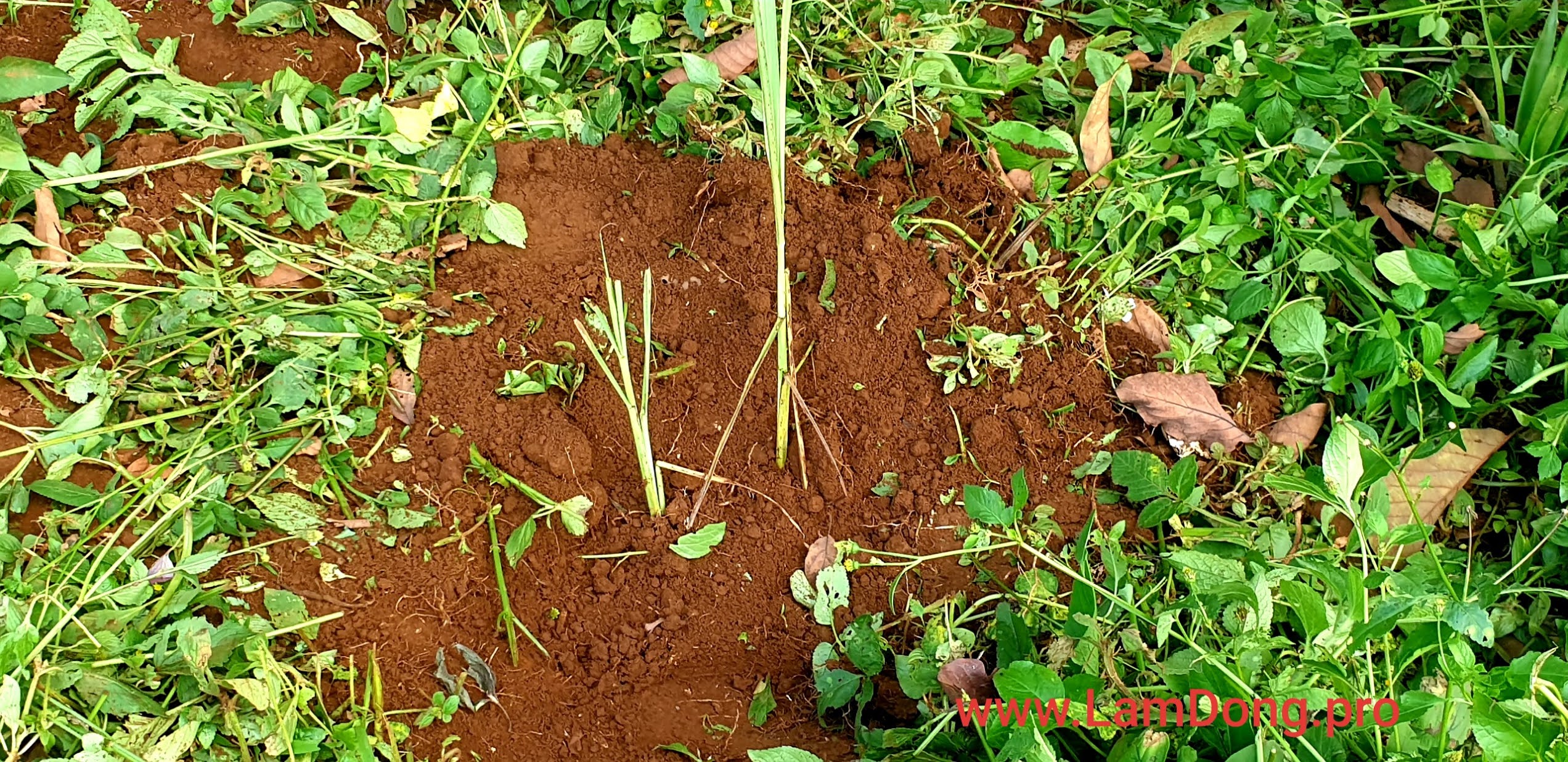 Một chút đáng yêu mỗi ngày