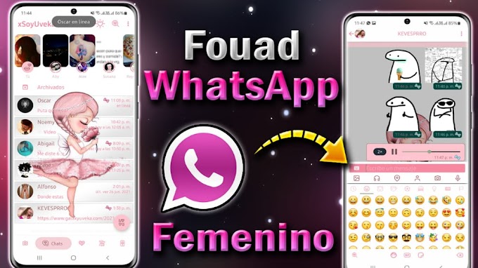WhatsApp Femenino 2