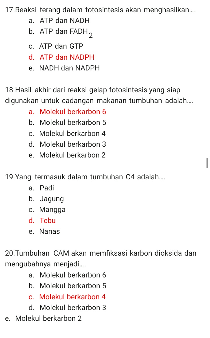 Contoh Soal Bahasa Indonesia Kelas 12 Beserta Jawabannya