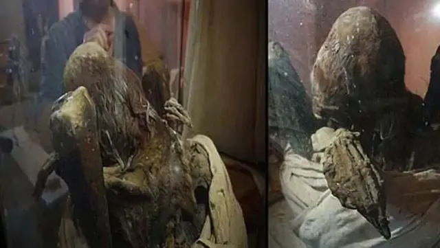 Momia secreta con cráneo elongado y dedos extraordinariamente largos descubierto en Perú