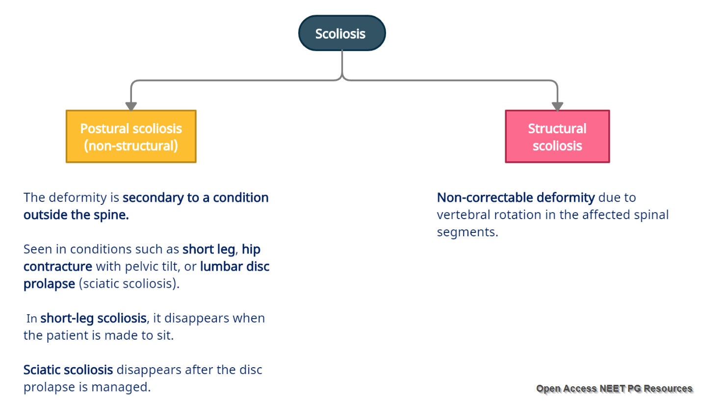 Structural and NonStructural Scoliosis