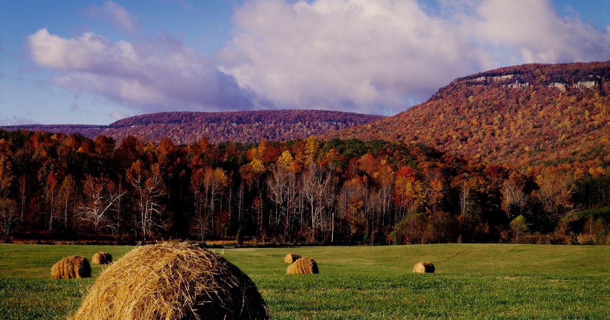 A Life in Photography McLemore Cove Part 2