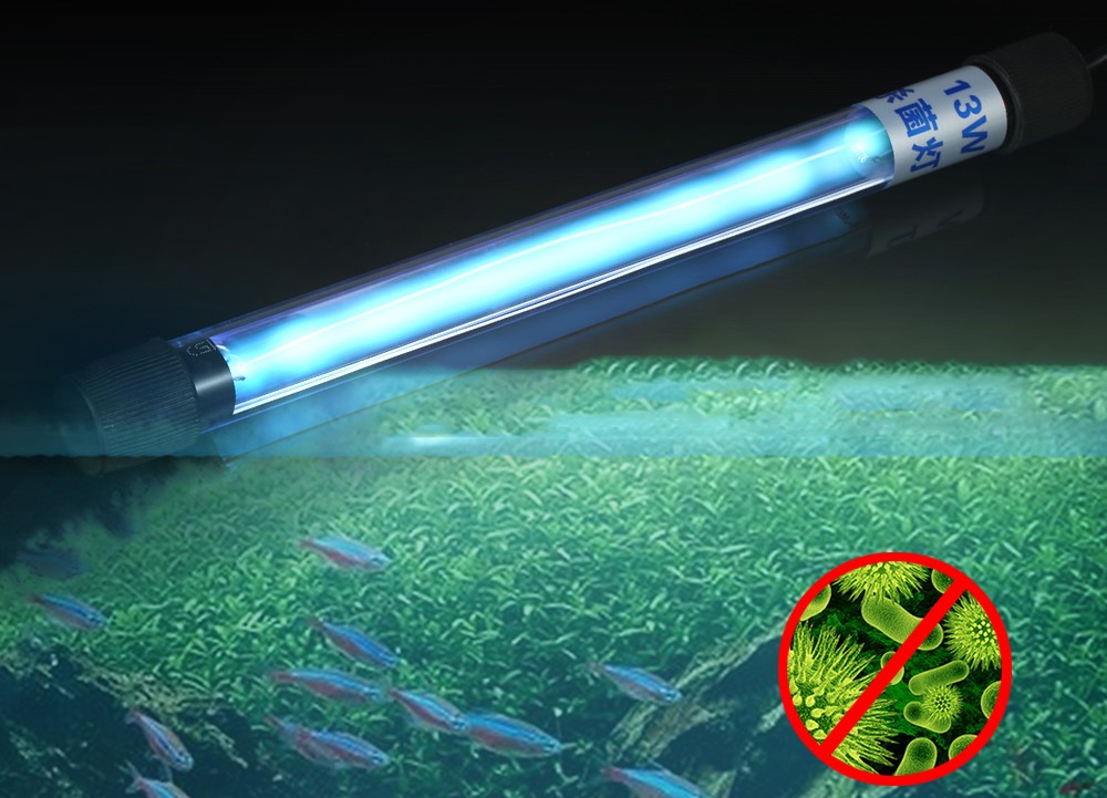 Fungsi Utama Sinar Ultraviolet Lampu UV Sangat Diperlukan Untuk Akuarium
