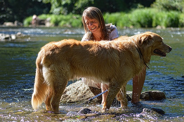 Grooming Your Dog