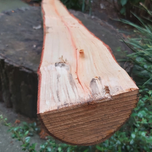 Abenteuer Bogenbau Was muss du beachten? Bogen selber bauen Die Anleitung