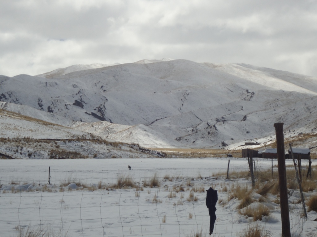 PCM Jefe del INDECI exhorta a gobiernos regionales y locales a asignar fondos para atención de