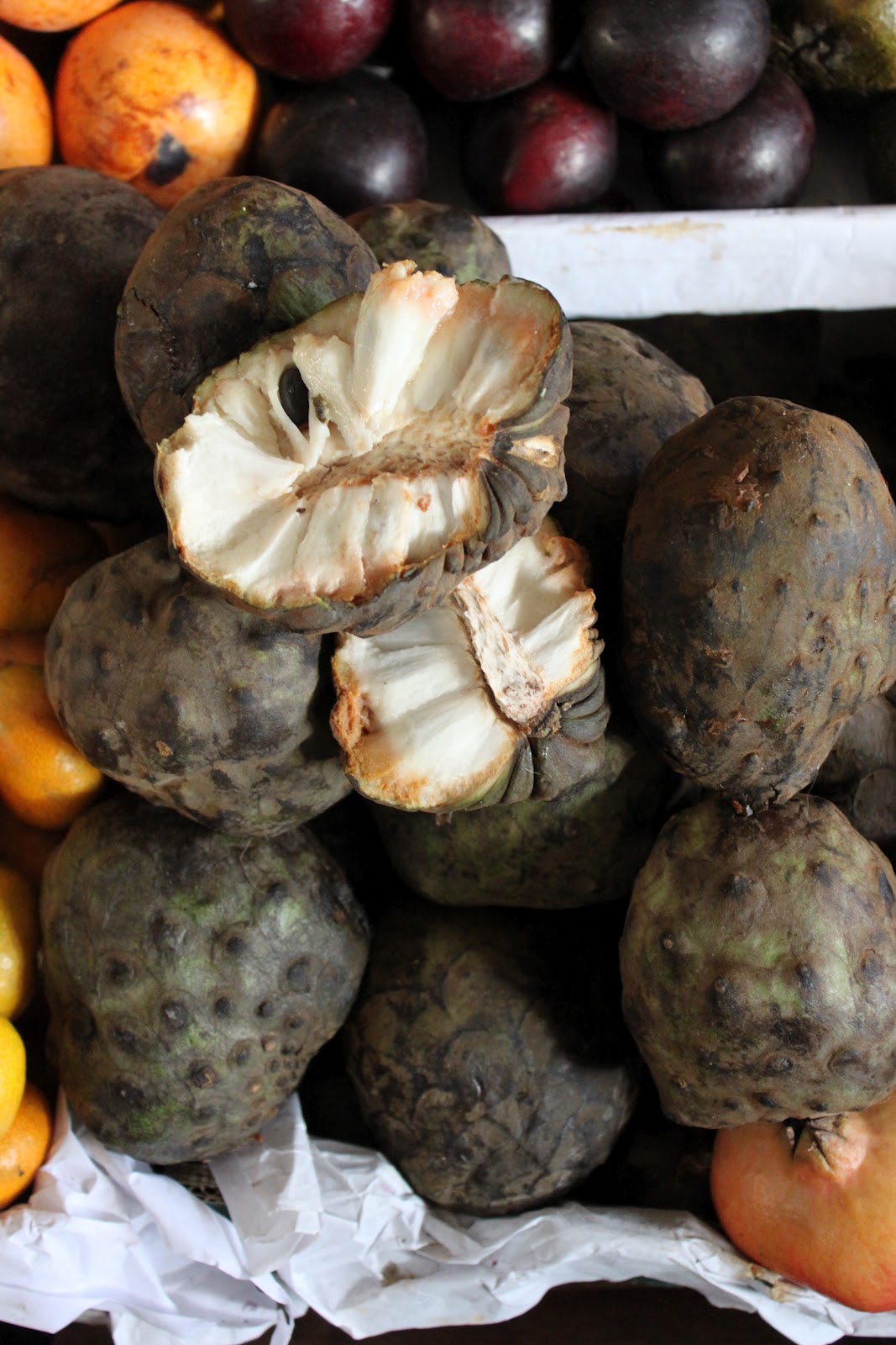 Stomach Aches Is Orange Juice Good For Stomach Aches