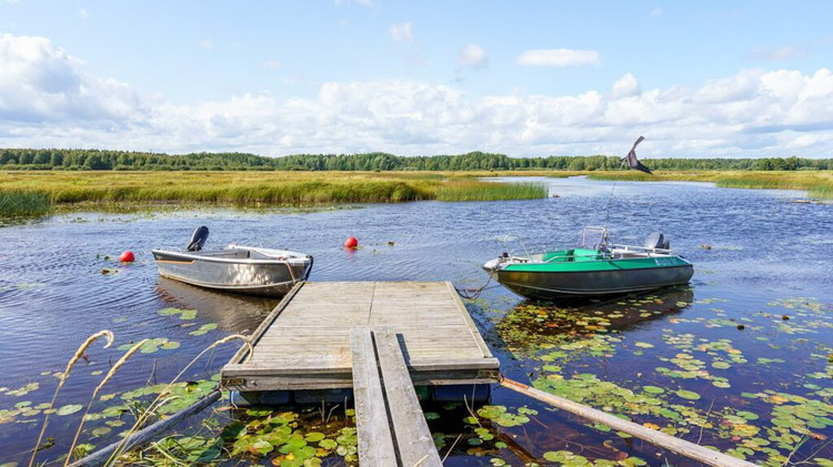 20+ animal embroidery patterns