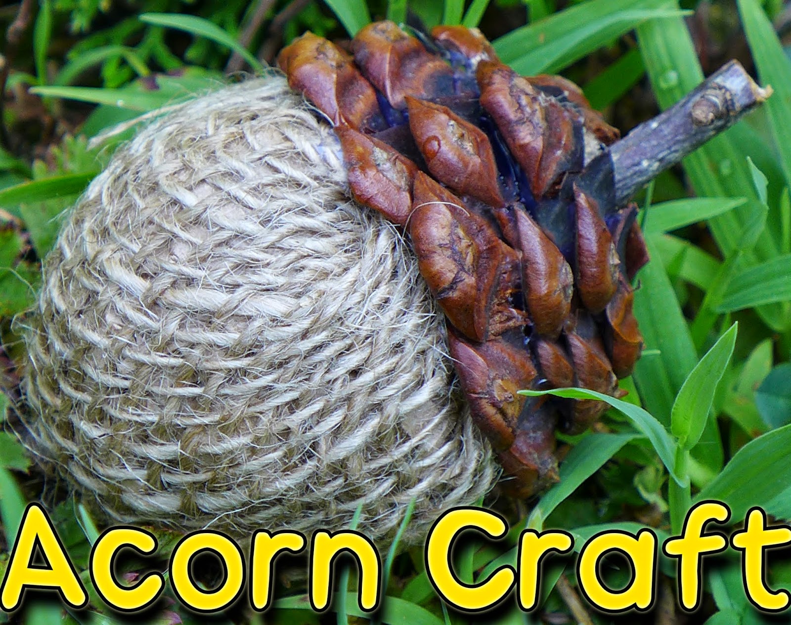 EasyMeWorld: DIY Acorn Craft