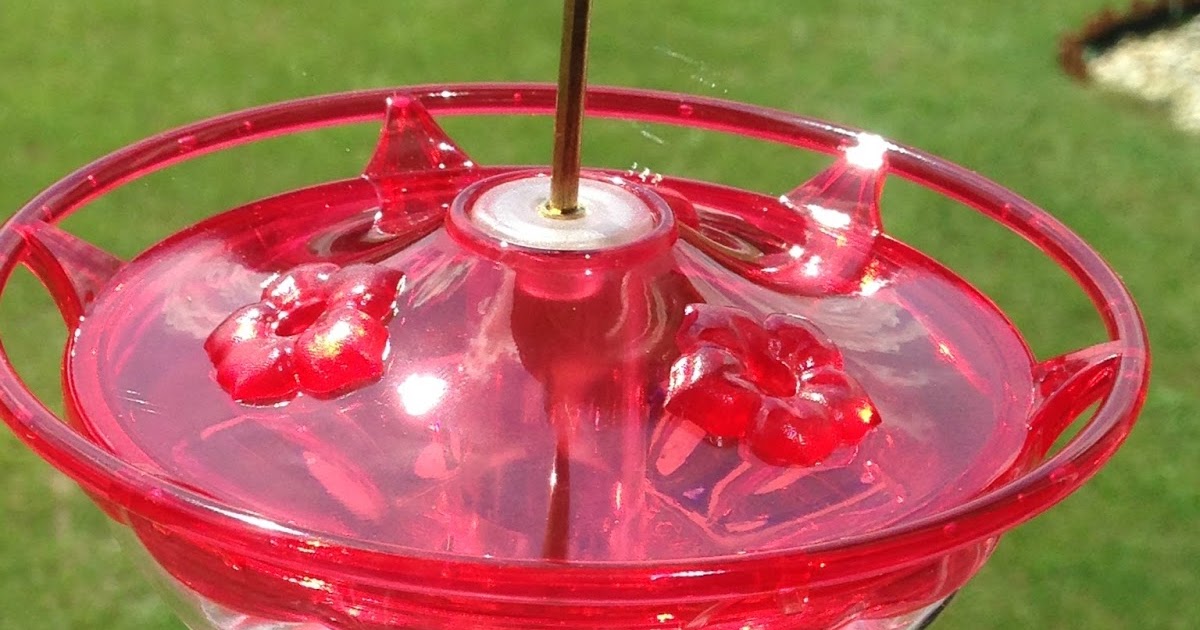 The Best Hummingbird Feeder You Can Buy Mom Files