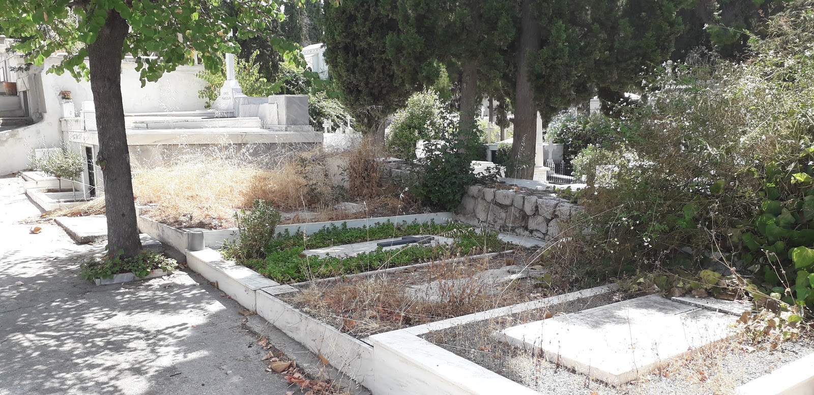 Να βγαίνω με κάποιον με προβλήματα εγκατάλειψης.
