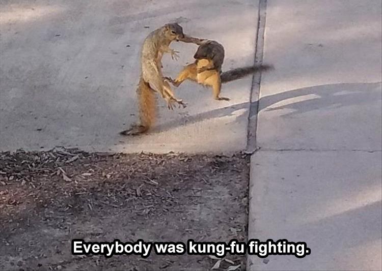 when-everyone-is-kung-fu-fighting.jpg
