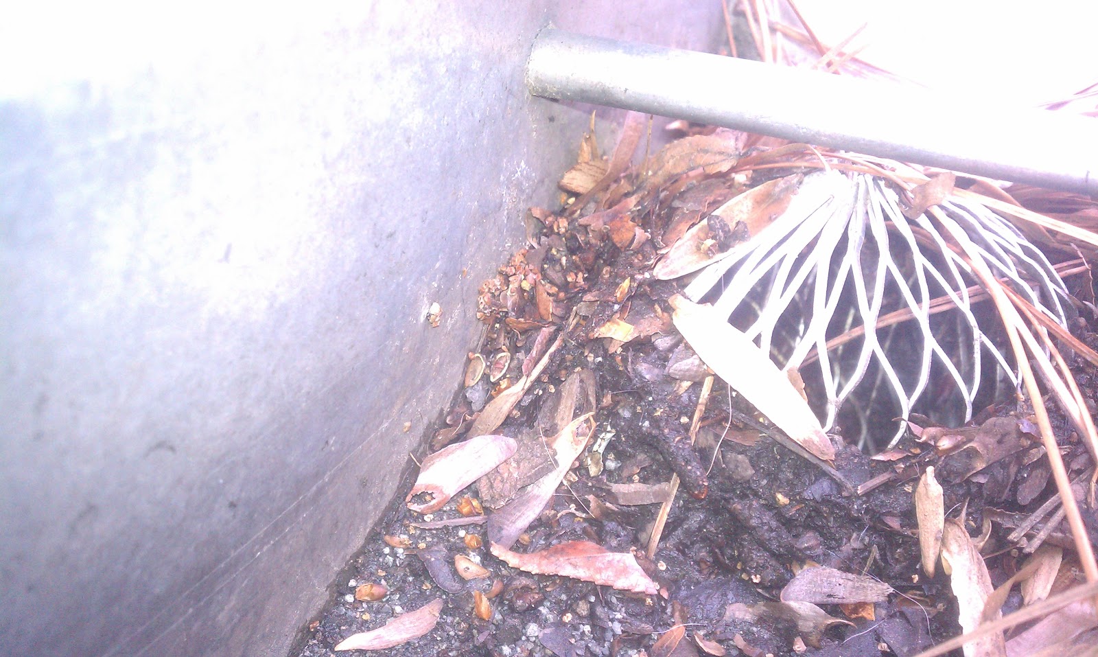 Allen & Deans, Inc./Raleigh Roof Contractor Serving the Triangle (919