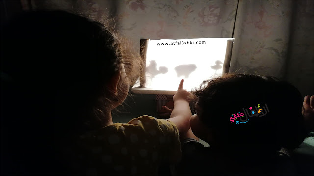 مسرح الحيوانات