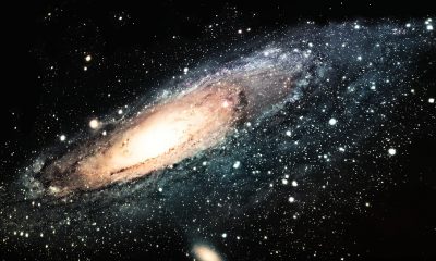 生態系の種類 - 生態系とは何ですか