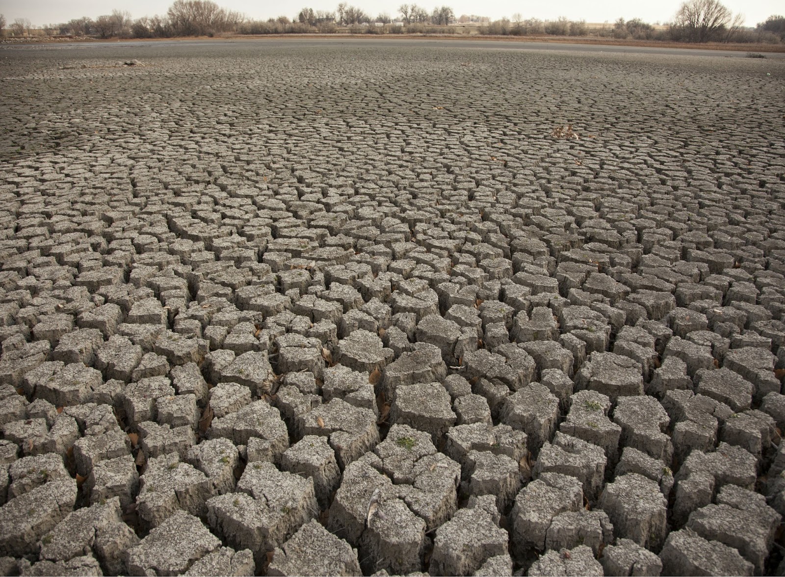 Buy Used Farm Tractors for Sale in Ghana Tips for Agriculture in Dry Places