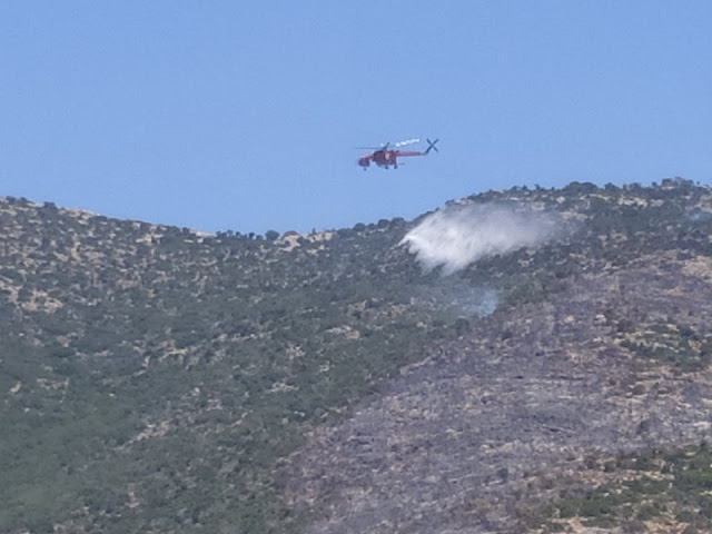 Πυρκαγιά στην Αργολίδα - Υπο έλεγχο η κατάσταση - Παραμένουν όλες οι δυνάμεις για τυχόν αναζωπύρωση