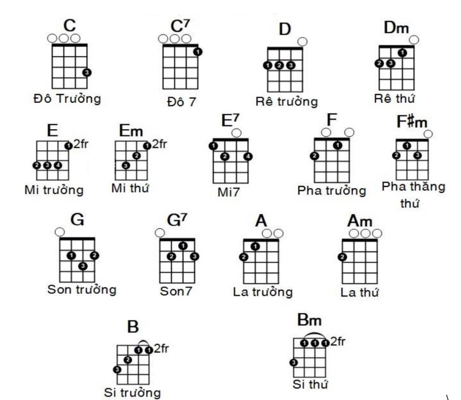 15 Hợp âm Ukulele Cơ Bản và Cách Bấm Tự Học Ukulele Dành Cho Người Mới