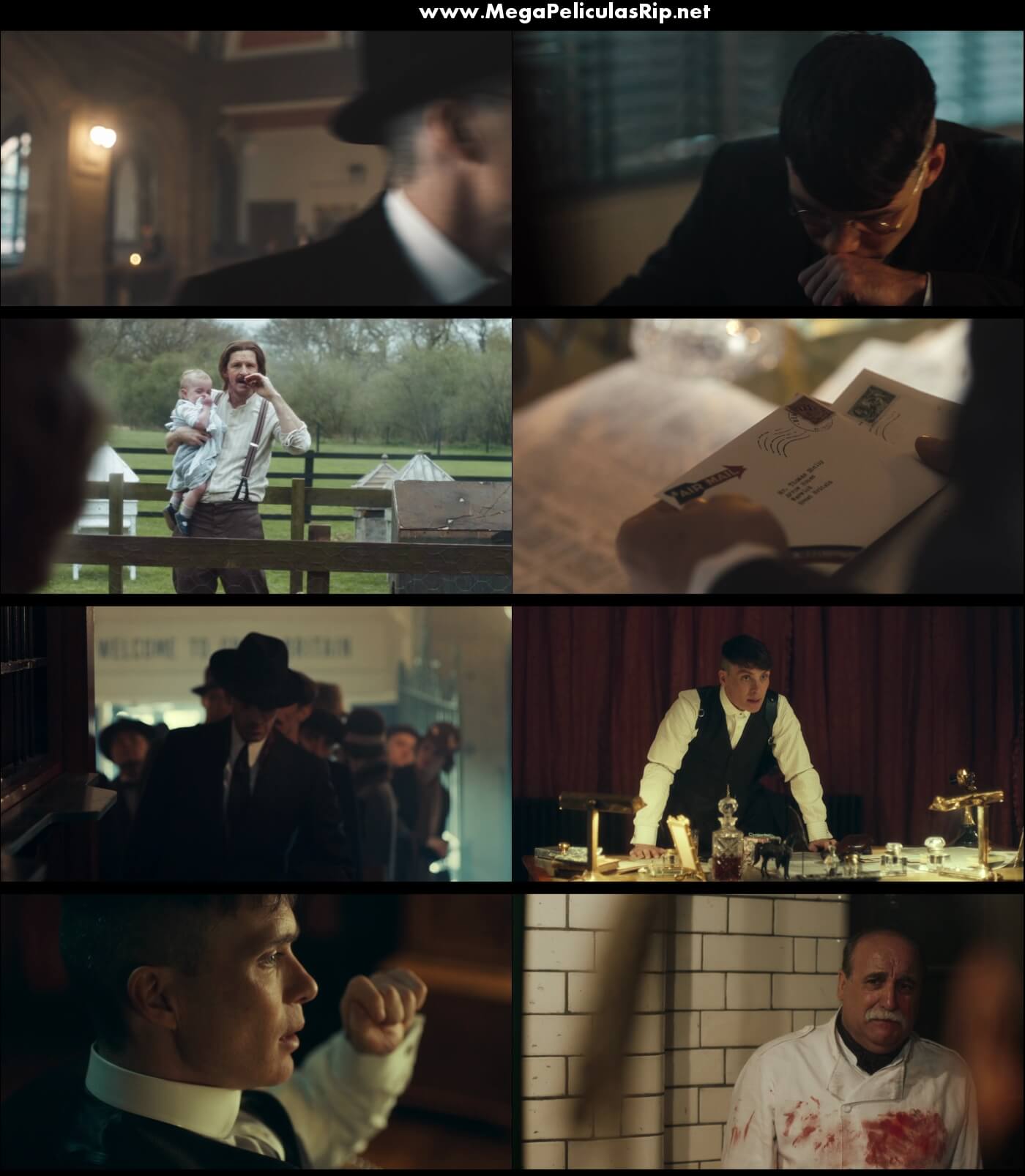 Peaky Blinders Temporada 5 1080p Latino