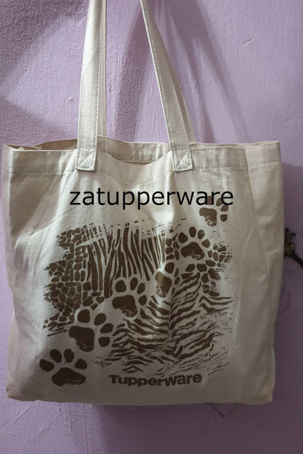 Tupperware Canvas Bag (1)
