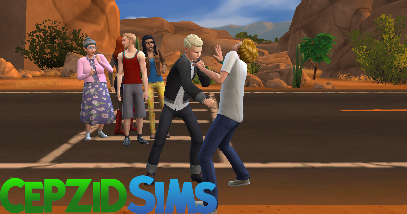 sims 4 fighting mod