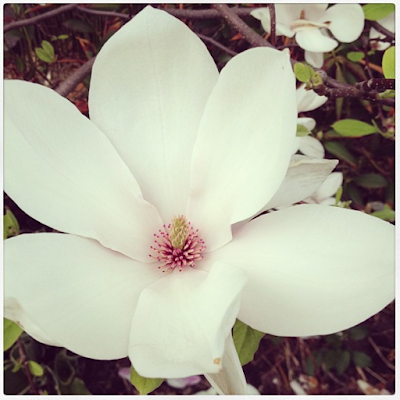 Проблема или нет? У каждого свой ответ!