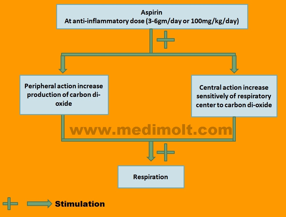 What is Non Steroidal Anti Inflammatory Drugs pathology of Inflammation