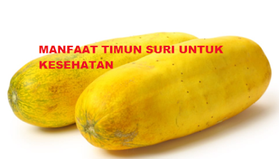Manfaat timun suri untuk kesehatan tubuh