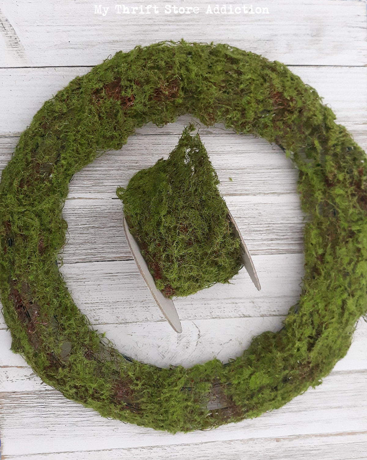 DIY moss wreath