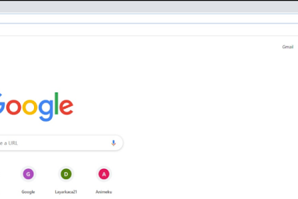 Cara Melihat Password yang Tersimpan di Browser Google Chrome