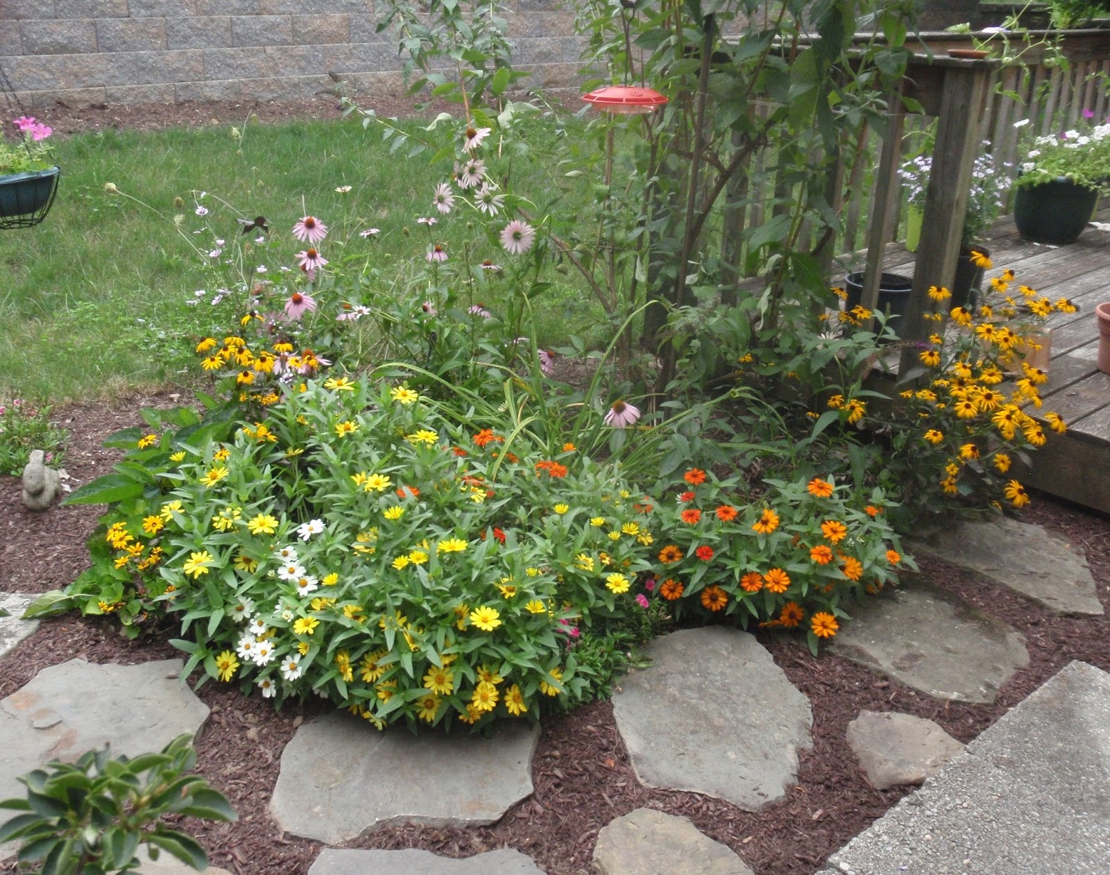 Adding Butterfly Feeders